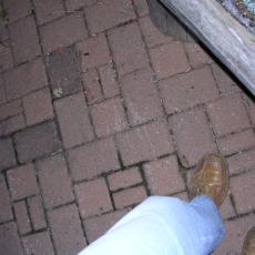 DSCN0802