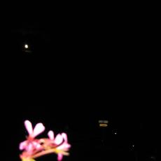 IMG_0276