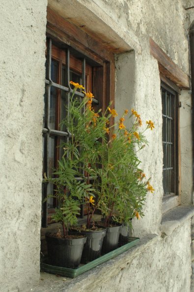 Sortie St-Bernardino - Isola (127)