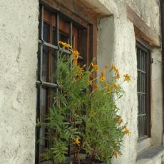 Sortie St-Bernardino - Isola (127)
