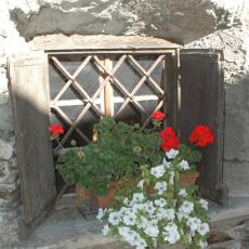 Sortie St-Bernardino - Isola (128)