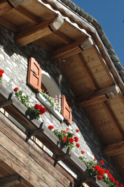 Sortie St-Bernardino - Isola (136)