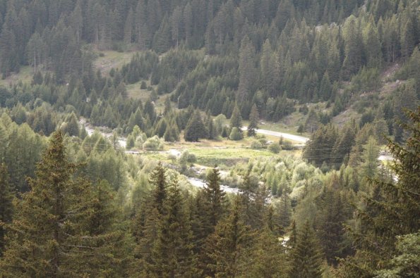 Sortie St-Bernardino - Isola (75)