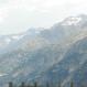 3 cols