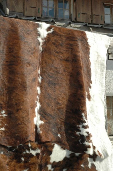 Les cols français (99)
