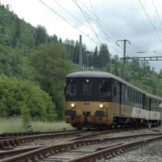 Charmey 2008 (119)