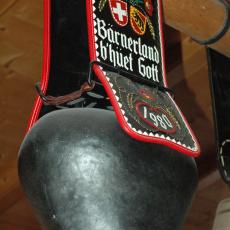 Charmey 2008 (137)