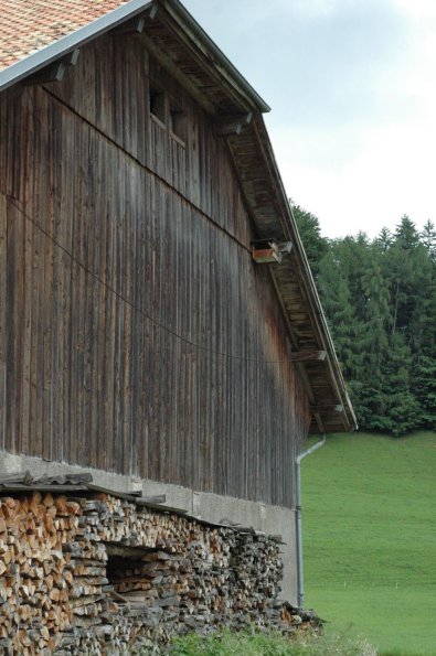 Charmey 2008 (52)