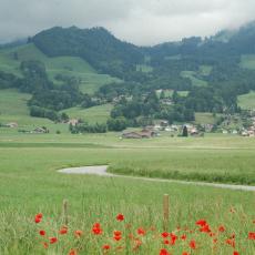Charmey 2008 (63)