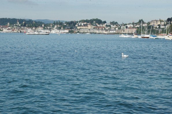 DSC_7840