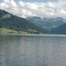 Ein. 0808 (110)