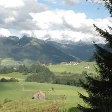 Ein. 0808 (116)