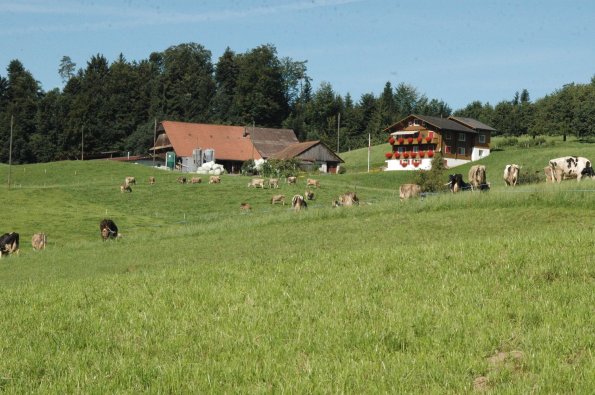 Ein. 0808 (190)