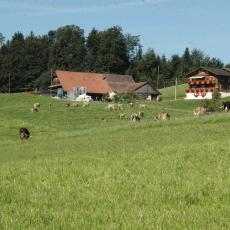 Ein. 0808 (190)