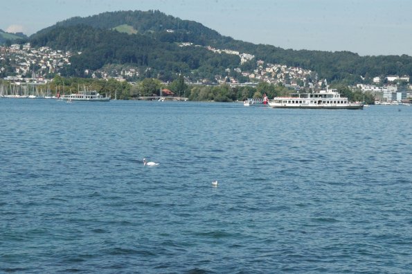 Ein. 0808 (208)