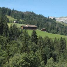 Ein. 0808 (215)