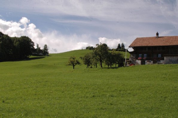 Ein. 0808 (32)