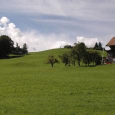 Ein. 0808 (32)