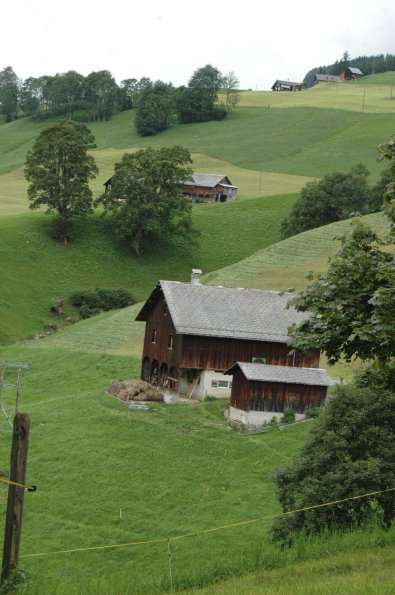 Ein. 0808 (61)
