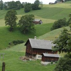Ein. 0808 (61)