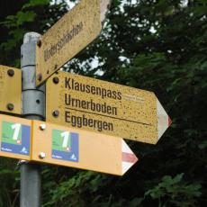 Ein. 0808 (66)