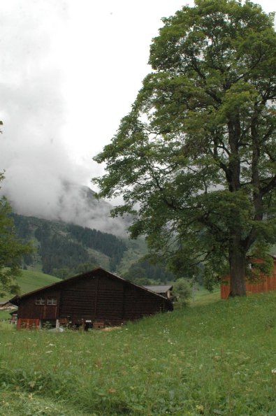Ein. 0808 (67)