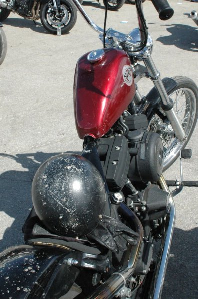 Sortie sous le soleil 2008 (39)