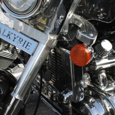 Sortie sous le soleil 2008 (17)