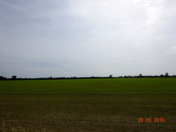 DSC00129