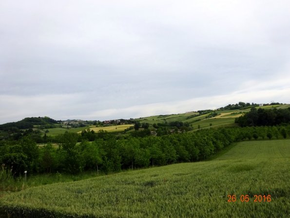 DSC00139
