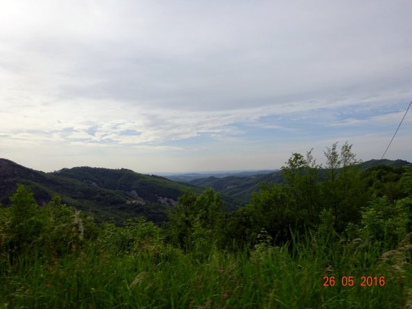 DSC00151