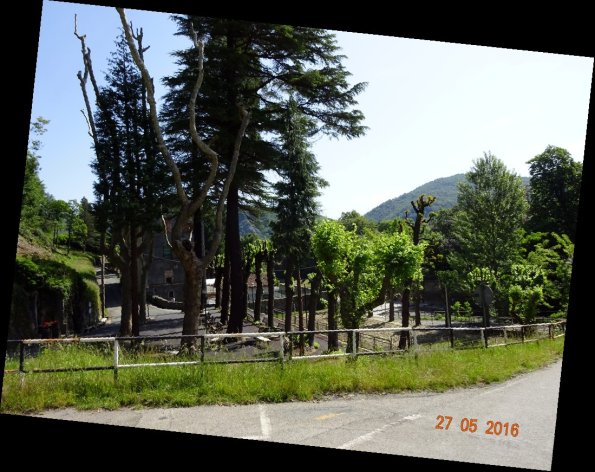 DSC00204