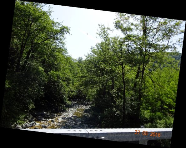 DSC00205