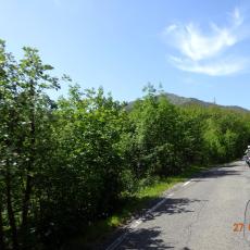DSC00208