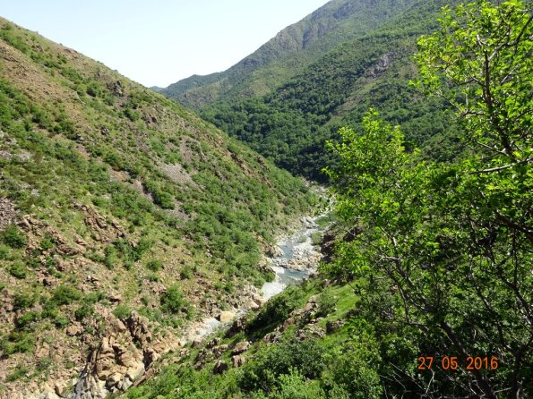 DSC00215