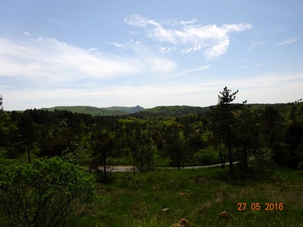 DSC00230