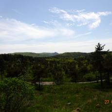 DSC00230