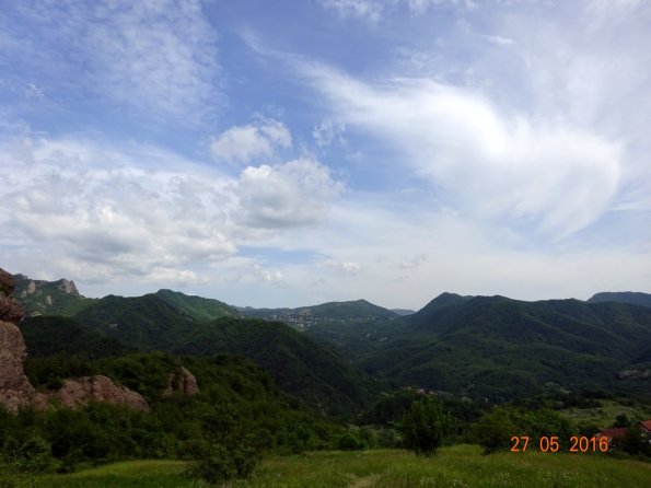 DSC00239