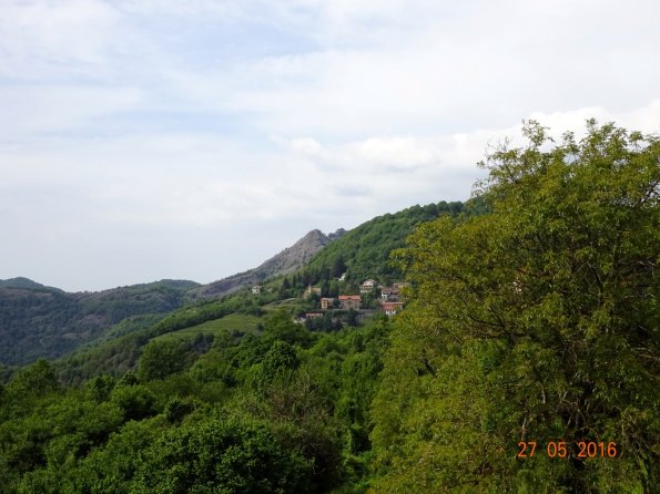 DSC00240