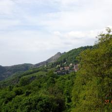 DSC00240