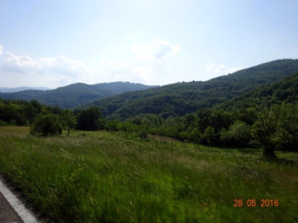 DSC00270