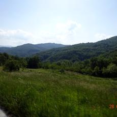 DSC00270