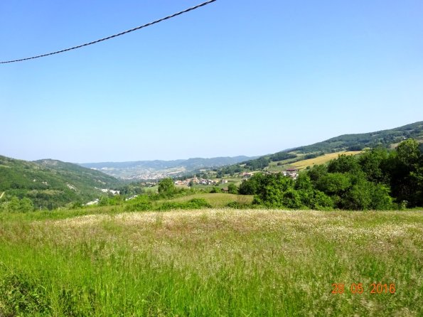 DSC00278