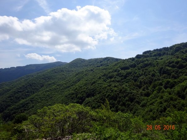 DSC00288