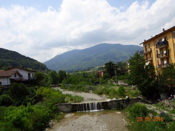 DSC00306