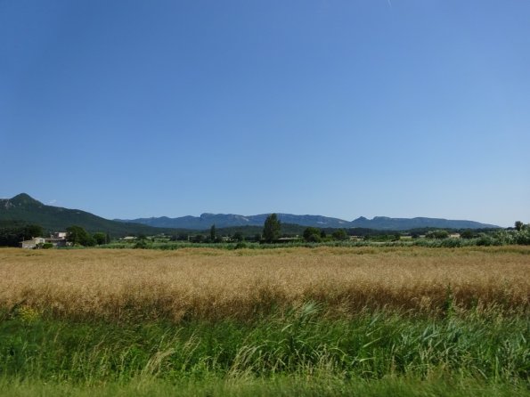 DSC00639