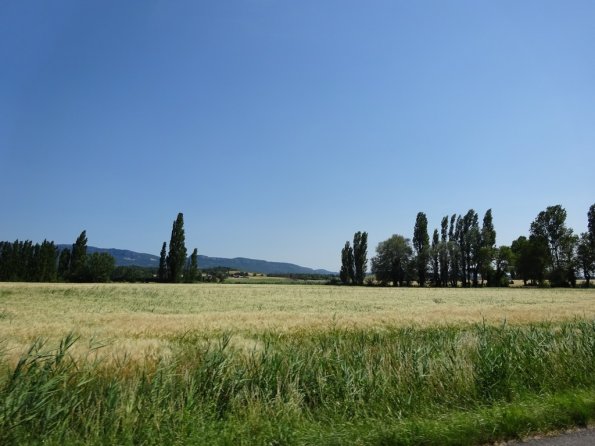 DSC00641