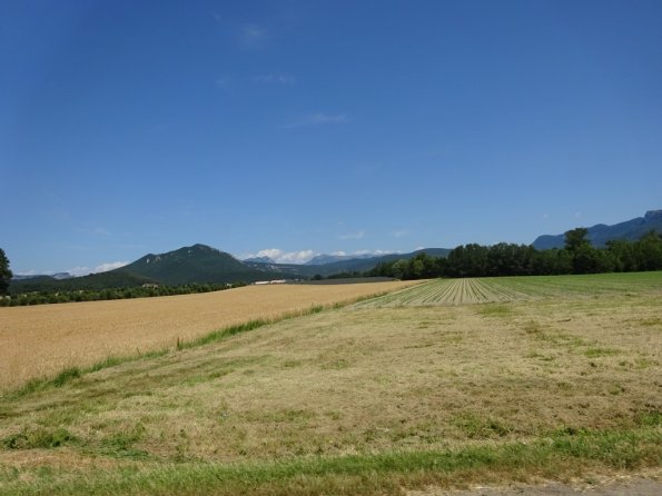 DSC00643