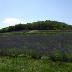 DSC00645