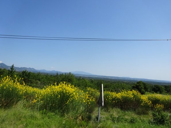 DSC00652